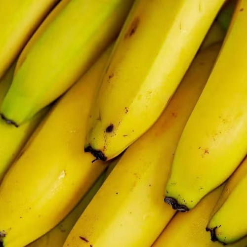 Sebrae Rio participa da 1ª Festa da Banana em Engenheiro Paulo de Frontin